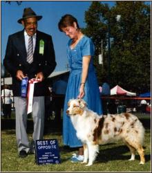 Photo du Chien