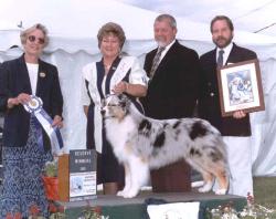 Photo du Chien