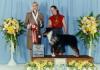 Photo du Chien